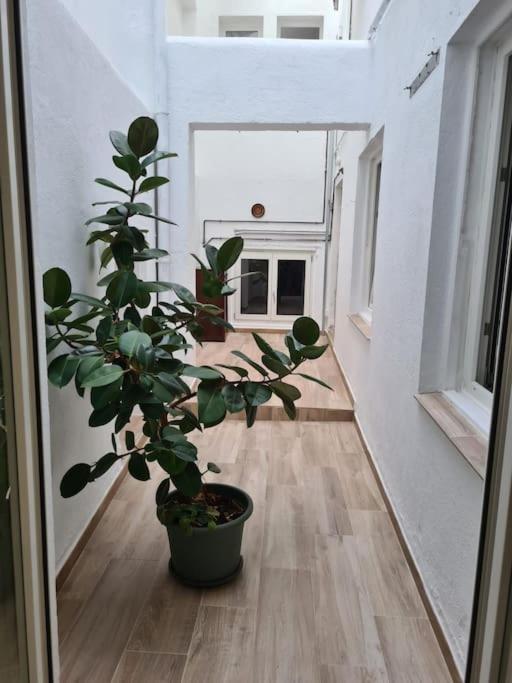 Апартаменты Apartamento Centrico Понтеведра Экстерьер фото